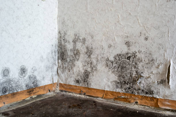 Water damage restoration